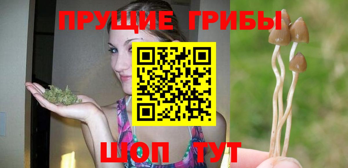 Кинель  Псилоцибиновые грибы мицелий  Вход с VPN 